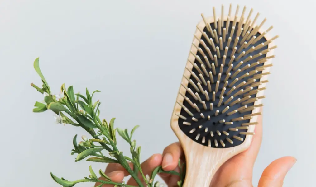 Tek Brushes Australian Distributor for Professional Hairdresser